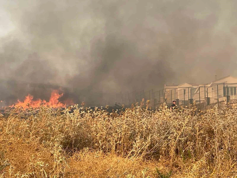Foça’da makilik alanda yangın
