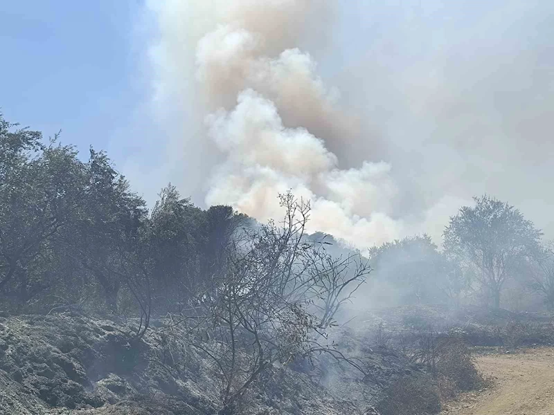 Turgutlu’da orman yangını evlere sıçradı
