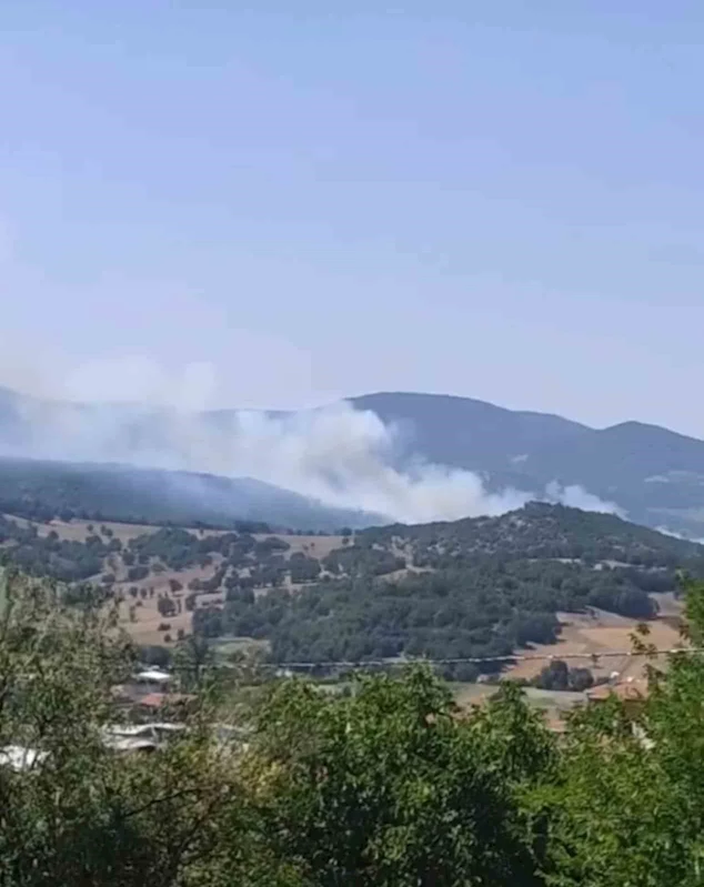 Bursa’da orman yangını çıktı, havadan ve karadan müdahaleler başladı
