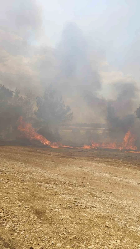 Antalya Aksu’daki orman yangını kontrol altına alındı
