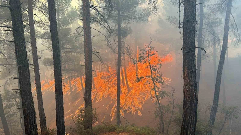 Kütahya Gediz’deki orman yangını kontrol altına alındı
