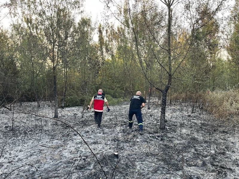Hendek’te ormanlık alanda yangın
