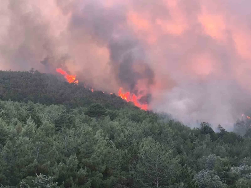 Uşak’ta ormanlık alandaki çıkan yangına müdahale devam ediyor
