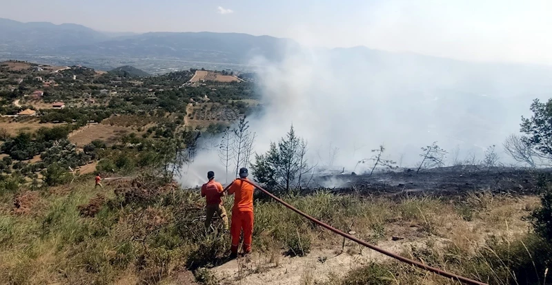 Sakarya’da geçtiğimiz yıla göre orman yangınlarında 2 buçuk kat artış yaşandı: Jandarma uyardı
