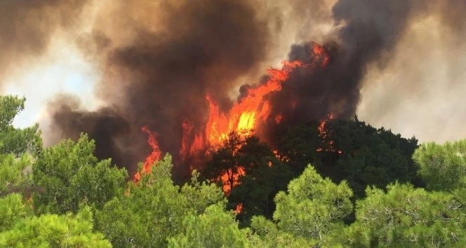 Muğla Valisi Dr. İdris Akbıyık’tan orman yangınlarına karşı uyarı

