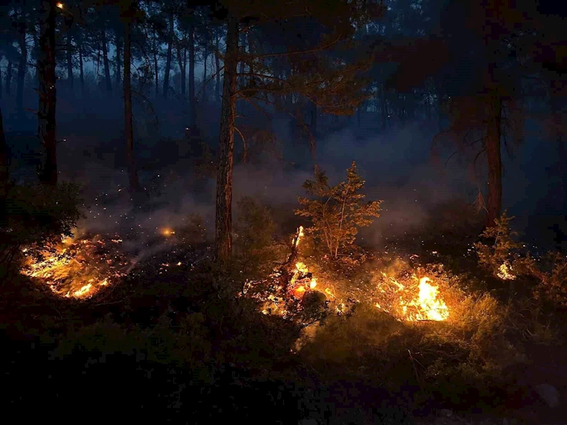 Uşak’ta ormanlık alanda çıkan yangına müdahale devam ediyor
