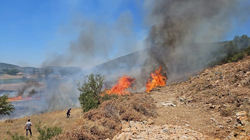 Muğla’nın Menteşe İlçesinde tarım arazisi yangını

