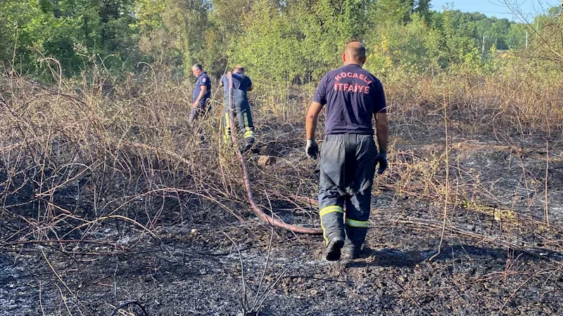 Kocaeli’de ağaçlık alan yandı: 10 hektar küle döndü
