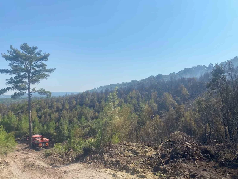 Ayvacık’taki orman yangını 19 saat sonra kontrol altına alındı
