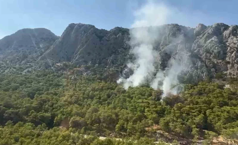 Antalya’daki orman yangını kontrol altına alındı
