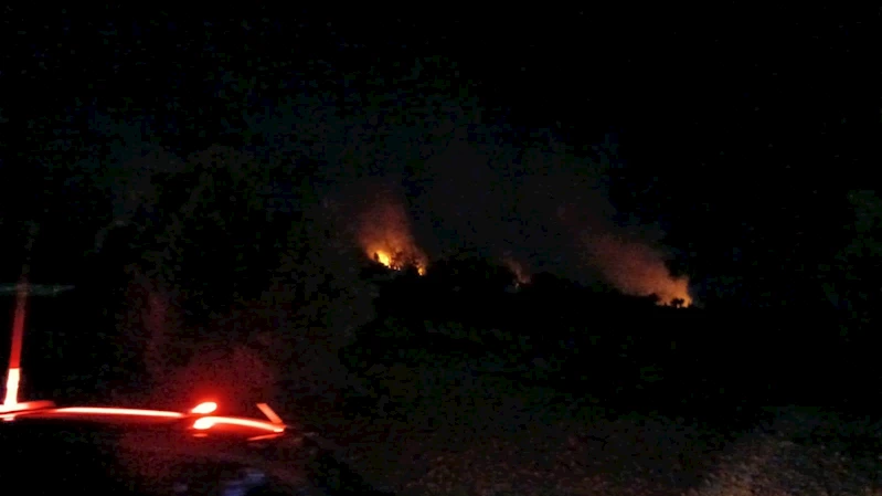 Kozan’da orman yangını
