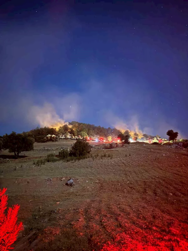 Kozan’da çıkan orman yangını kontrol altına alındı
