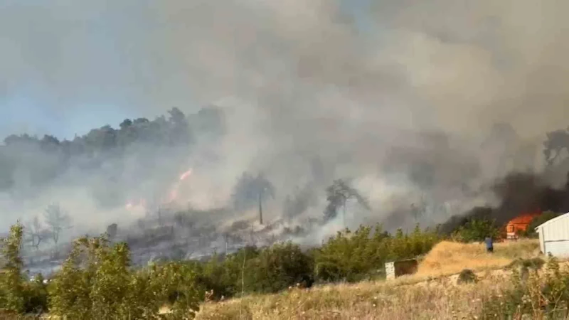 Bursa’da orman yangını

