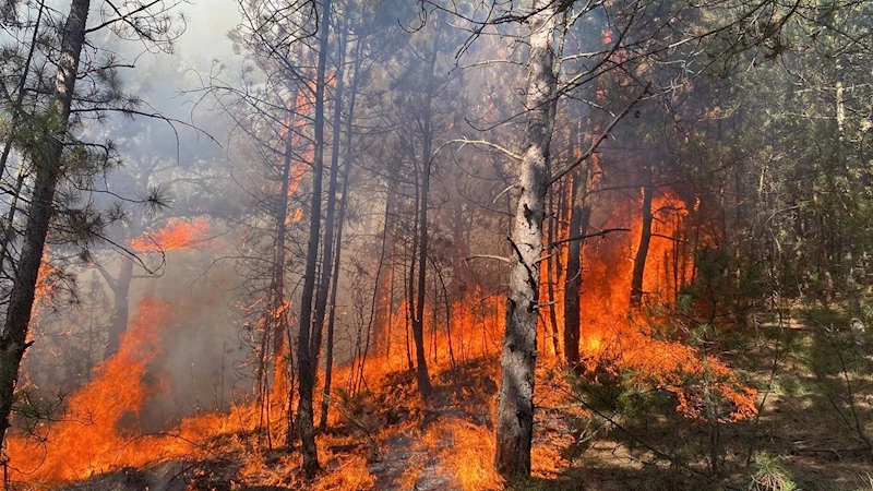 Karabük’teki orman yangınında alevler yayılıyor
