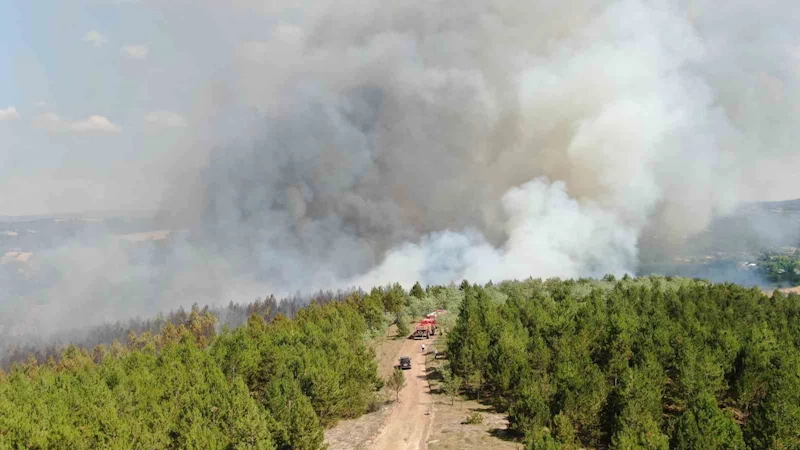 Kastamonu’da orman yangını: Söndürme çalışmaları havadan ve karadan sürüyor
