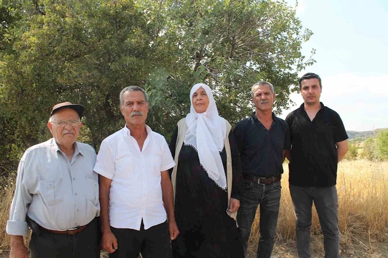 Mardin’de ağabey, 15 kardeşinin arazi hakkını sahte tapu işlemleri ile aldığı iddia edildi
