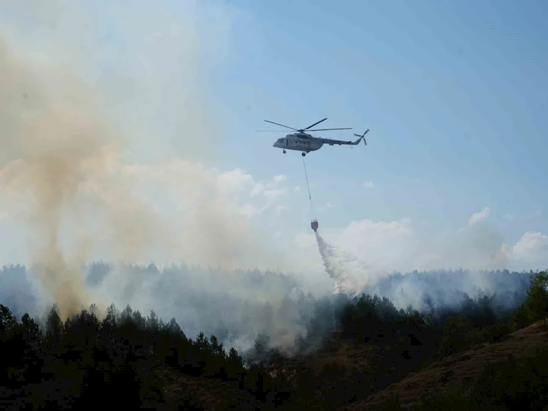 Kastamonu’daki orman yangınına müdahale sürüyor
