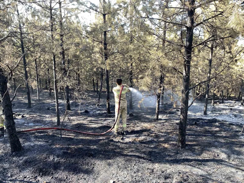 Kastamonu’daki orman yangını kontrol altına alındı
