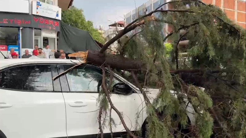 Burdur’da fırtınada kırılan ağaç aracın üzerine devrildi
