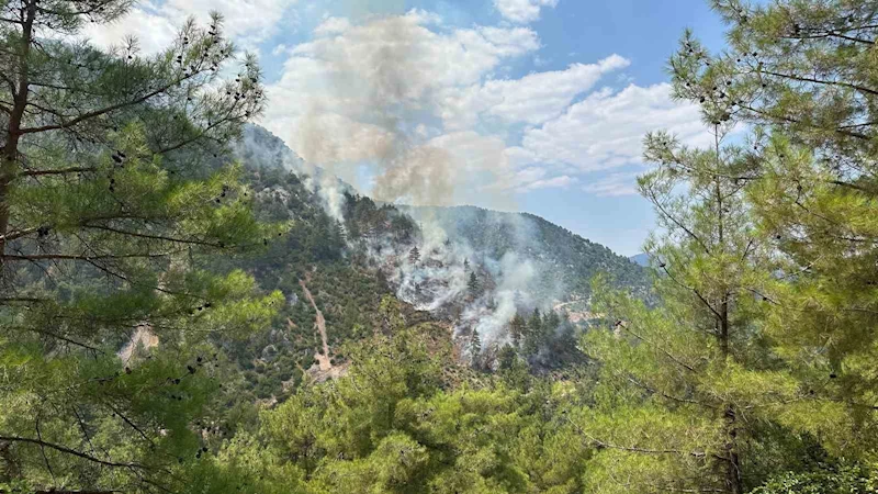 Adana’daki orman yangını kontrol altına alındı
