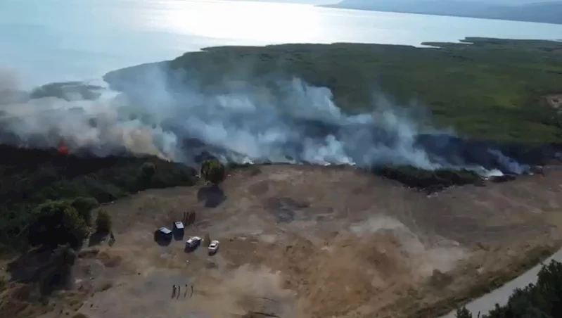 İznik Gölü’nde sazlık yangını

