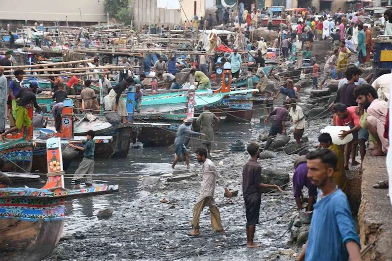 Pakistan’daki deniz kirliliği deniz yaşamı için “ölü bölgeye” neden oldu
