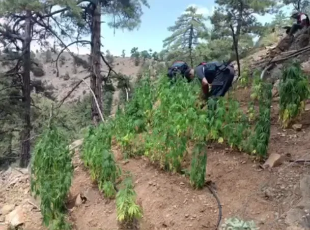 Pınarbaşı