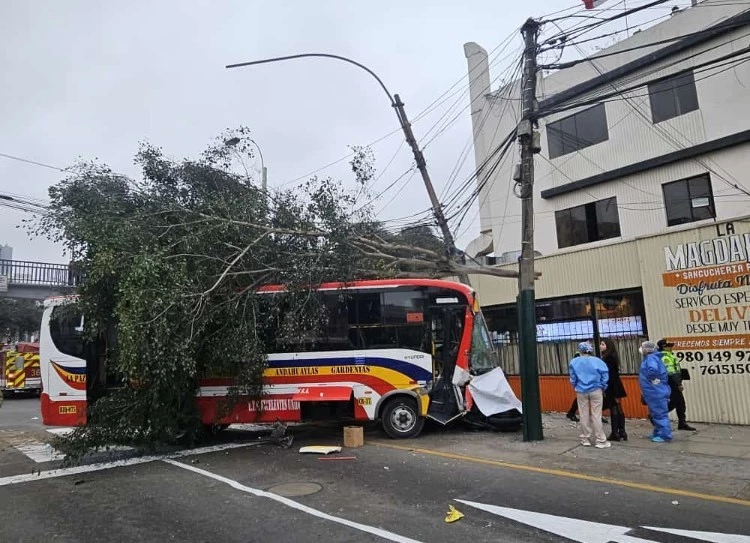 Peru’da kontrolden çıkan otobüs yaya geçidine daldı: 1 ölü, 31 yaralı
