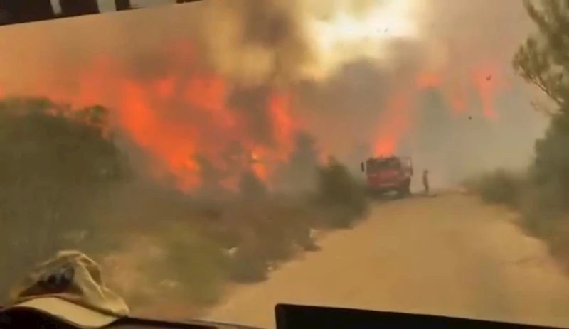 Antalya’daki orman yangınında yürekleri ağza getiren görüntü
