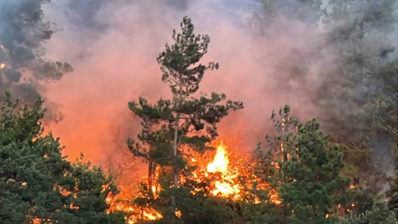Kahramanmaraş’taki orman yangınına müdahale sürüyor
