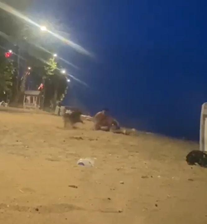 Yalova’da sahilde güreş antrenmanı yapan genci köpek ısırdı
