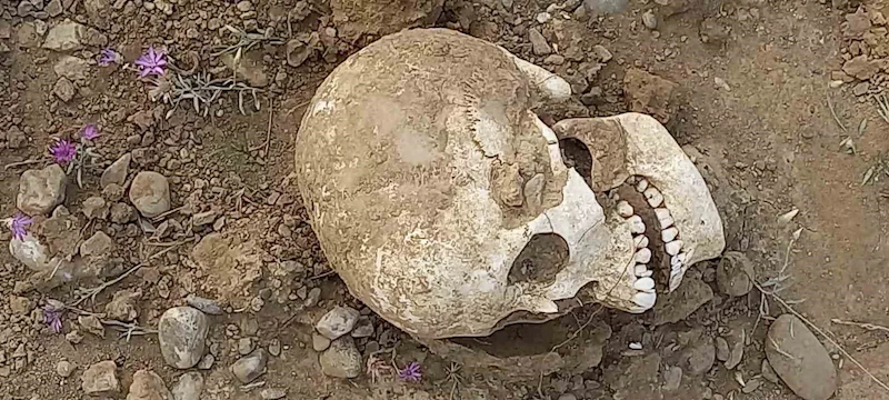 Gümüşhane’de yol ortasında insan kafatası bulundu

