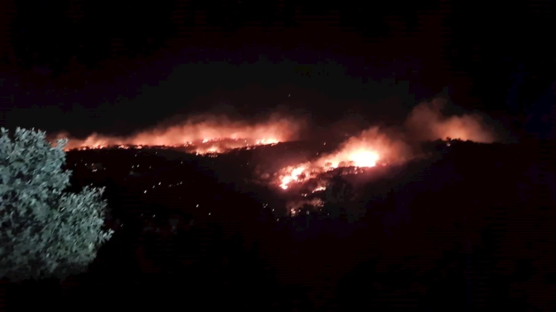 Mardin’de ağaçlık alanda çıkan yangın büyüyor
