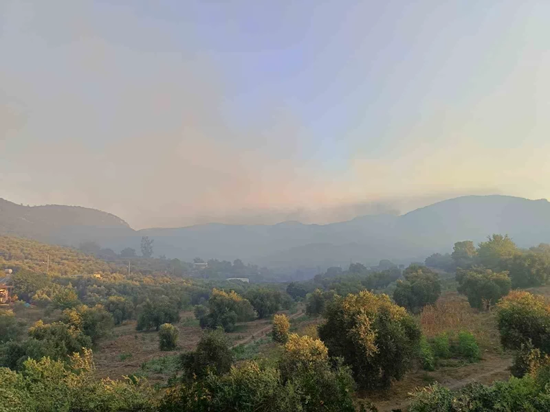 Adana Kozan’da orman yangını
