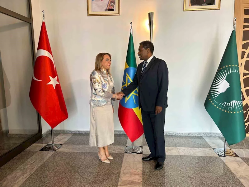 Türkiye ile Etiyopya arasında sağlık işbirliği geliştirilecek
