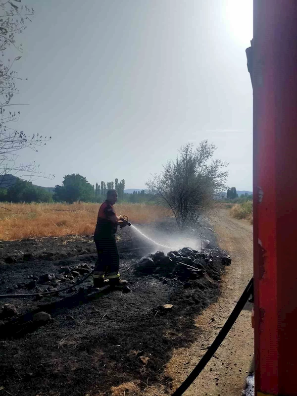 Osmancık’taki örtü yangınında ağaçlar zarar gördü
