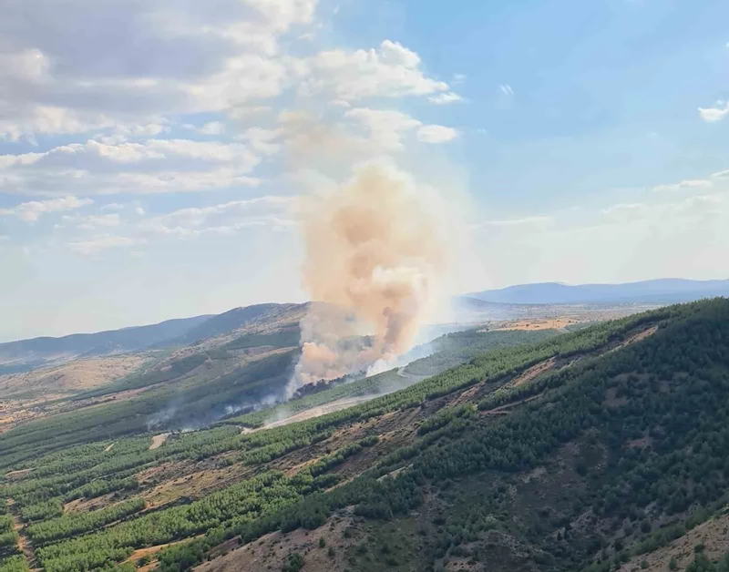 Çivril’deki yangında 8 hektar alan zarar gördü
