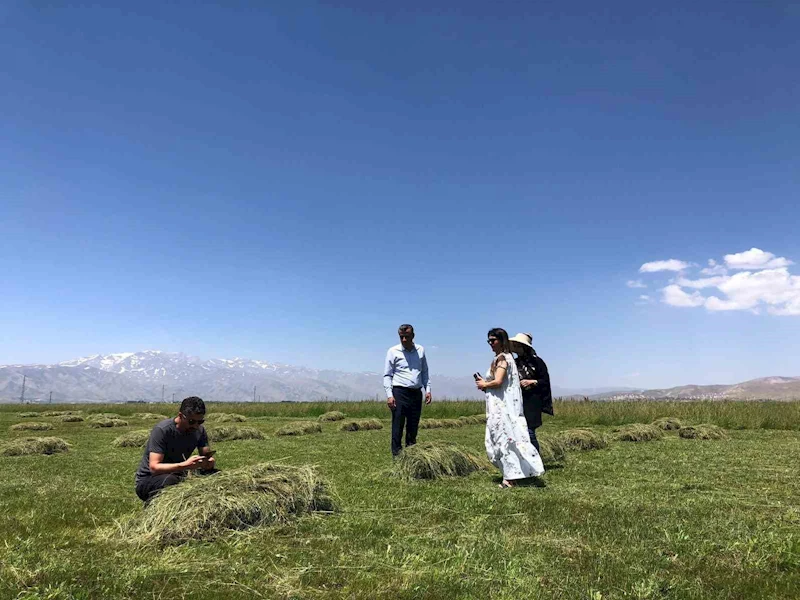 Yüksekova’da yağışlar çiftçilerin yüzünü güldürdü
