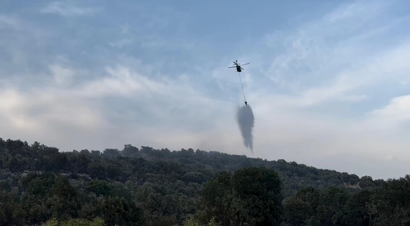 Diyarbakır’daki orman yangınları helikopter desteğiyle kontrol altına alındı
