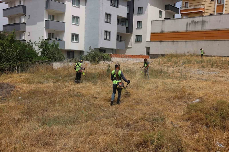 Çayırova’da yabani otlar temizleniyor
