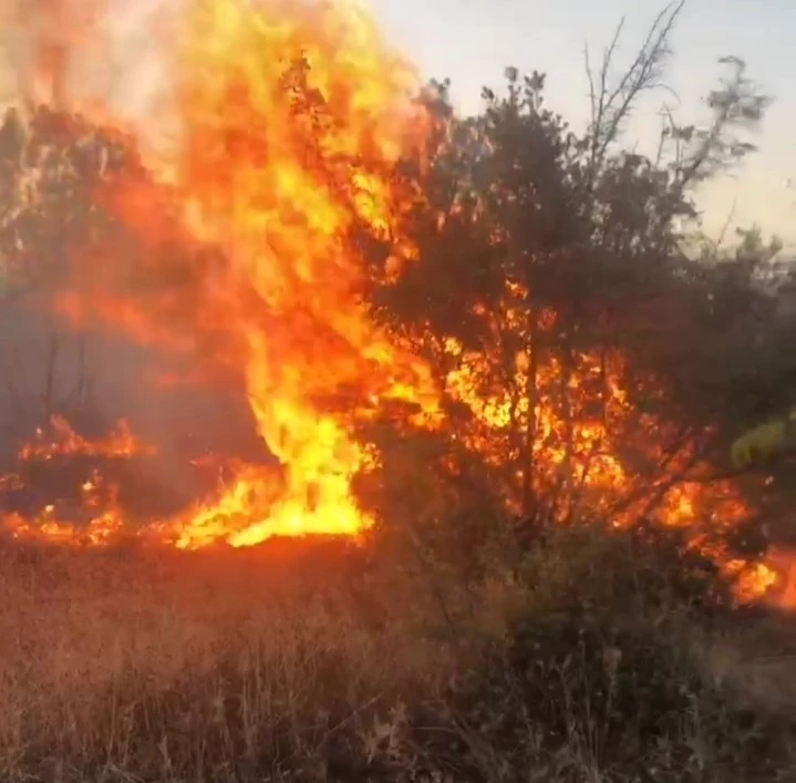 Otluk alanda çıkan yangın ağaçlık alana sıçradı: Alevler ürkütücü boyuta ulaştı
