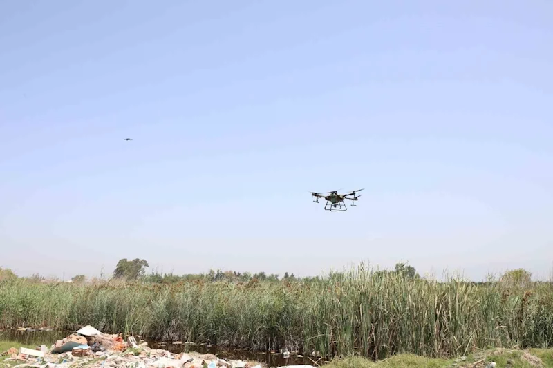 Hatay’da sinek ve haşerelere karşı 229 hektar alan dron ile ilaçlandı
