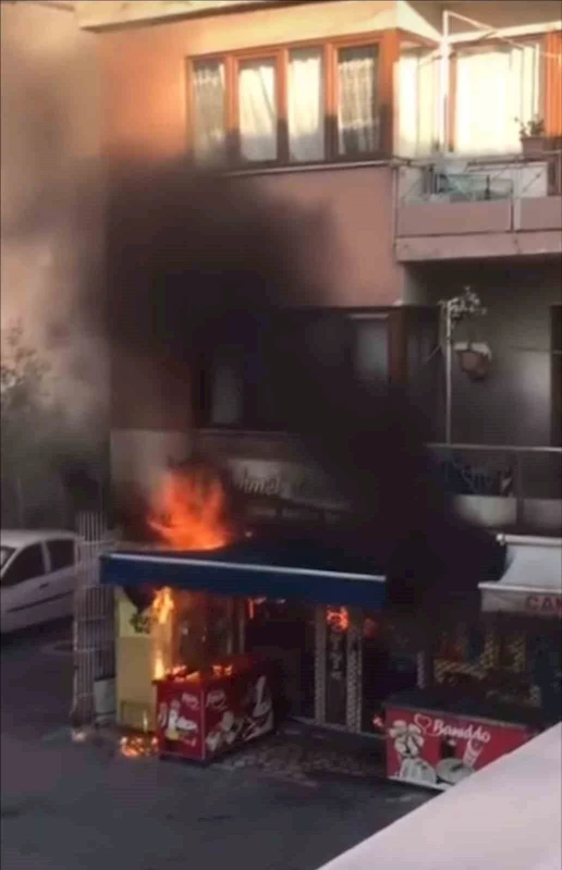 Bursa’da korkutan yangın: Duyarlı vatandaş yangının büyümesini önledi
