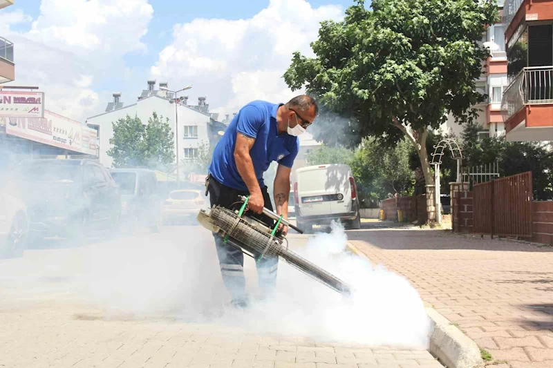 Antalya Büyükşehir vektörle mücadele çalışmalarını sürdürüyor
