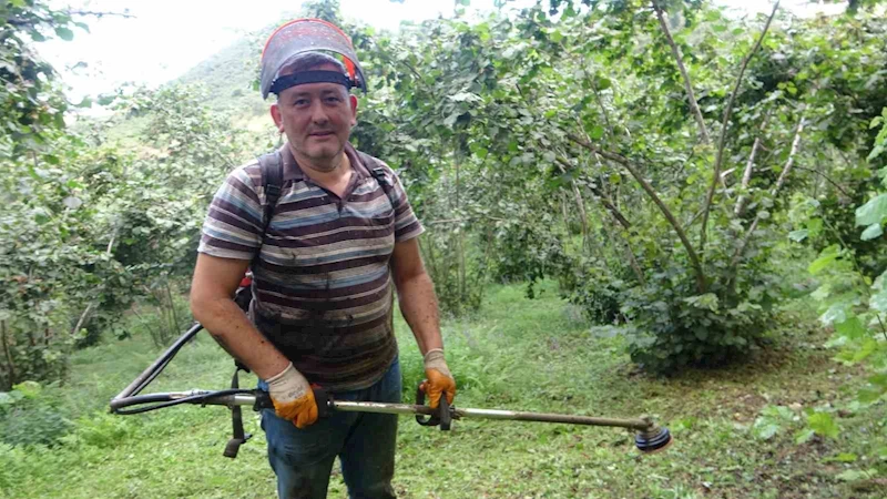 Giresun’da fındık üreticilerinin yaklaşan hasat öncesi bahçe temizliği mesaisi başladı
