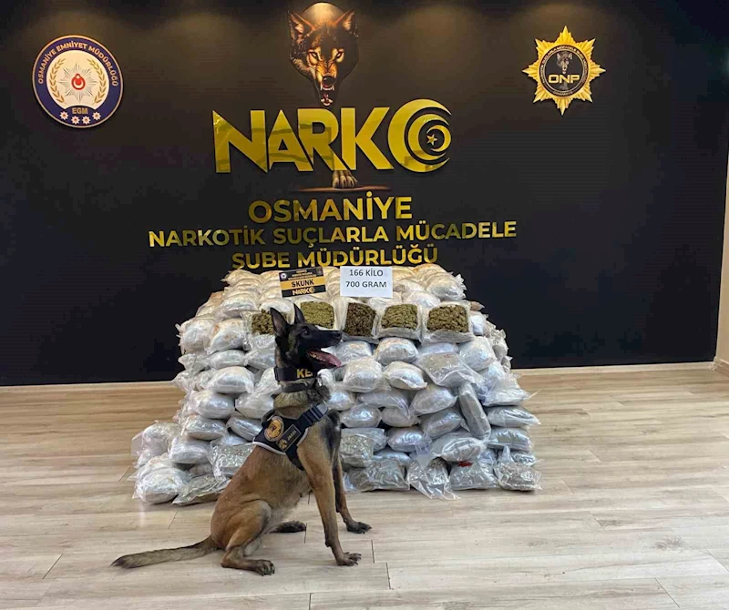 Osmaniye’de durdurulan tırda 166 kilo 700 gram skunk ele geçirildi
