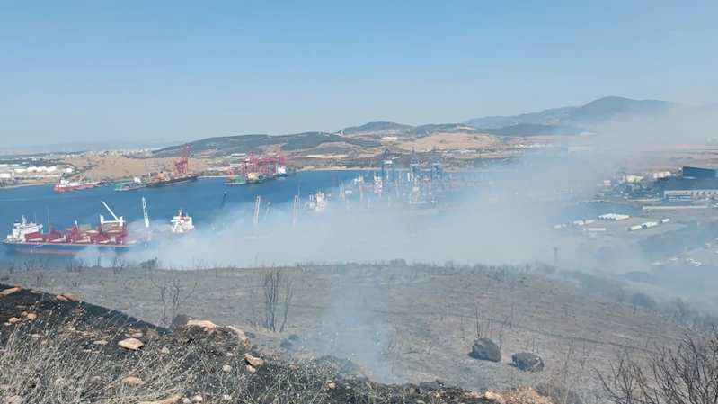 İzmir’de orman yangını
