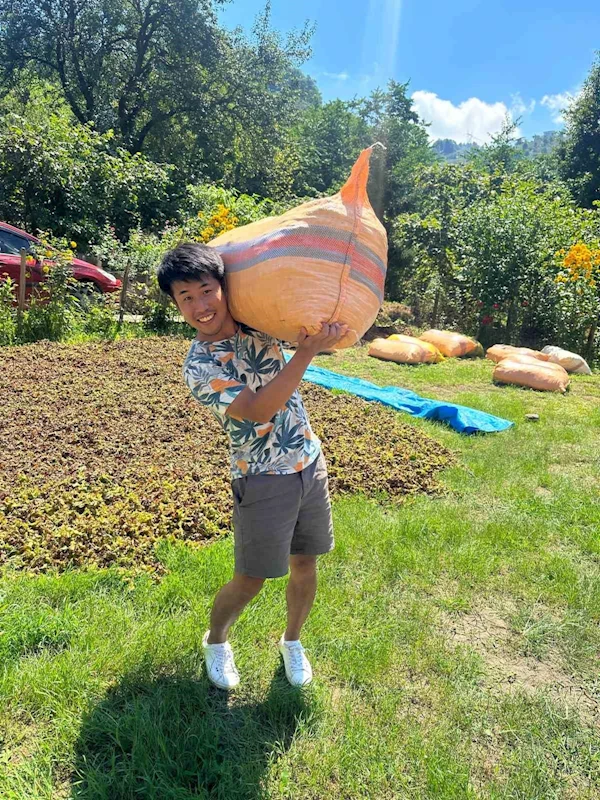 Japonya’dan ticaretini yaptığı fındığı tanımak için Giresun’a gelip fındık topladı
