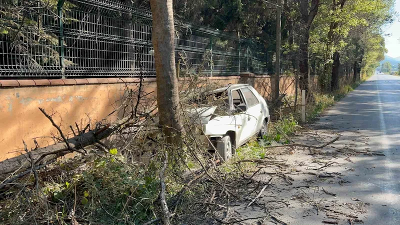 Otomobilin çarptığı ağaç üzerine devrildi, yangın çıktı: 1 yaralı
