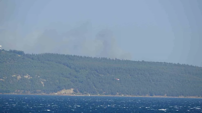 Çanakkale’de orman yangını
